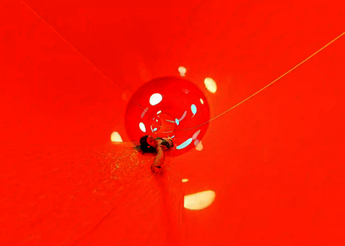 Eine orangene Wasserrutsche von innen, mit einer Frau.