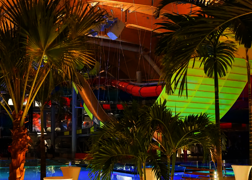 Blick durch Palmen auf die gelb-grüne Boomerang-Rutsche in tropischem Indoor-Ambiente.