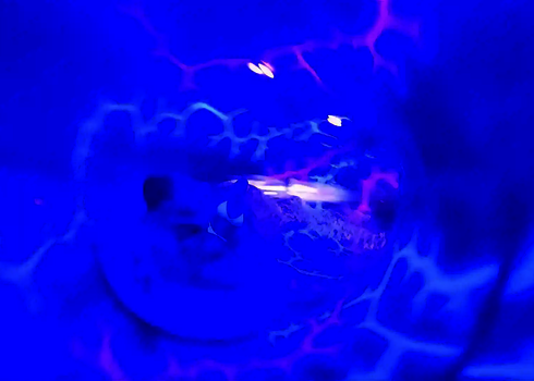 Blau UV-beleuchtete Wasserrutsche mit Blitzmotiven.