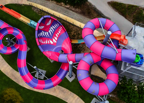 Vogelperspektive auf einen farbenfrohen Lotus mit angrenzender pink-lila RR2050.