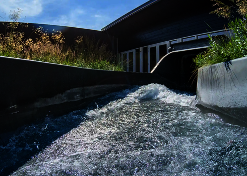 Der Wildwasserfluss führt aus einem Tunnel ins Freie, flankiert von dichter Vegetation.
