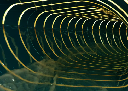 Innenansicht einer Family Twister Röhrenrutsche mit bunten Tageslichteffekten