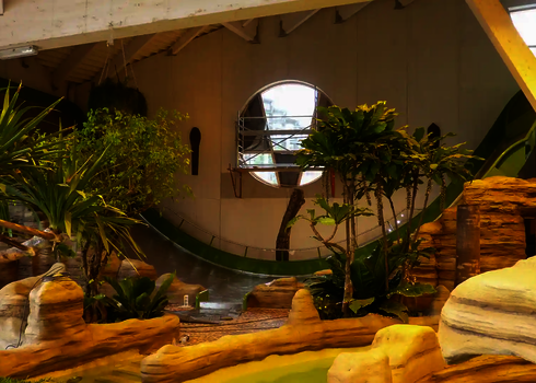 Die Reifenrutsche Sidewinder schlängelt sich durch eine tropisch gestaltete Indoor-Landschaft.