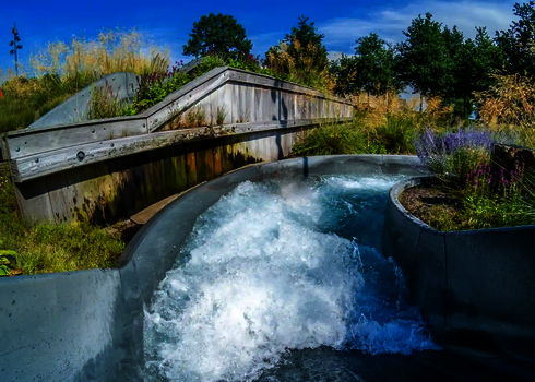 Sprudelndes Wasser strömt durch den Wildwasserfluss, umgeben von Blumen und hohen Gräsern.