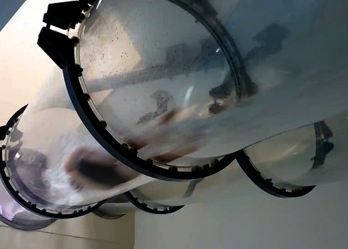 Blick von unten auf eine transparente Rutsche mit rutschender Person in einem Innenbereich.