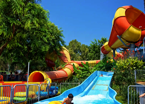 Der Crazy Cone in Gelb-Orange schlängelt sich durch tropische Vegetation.