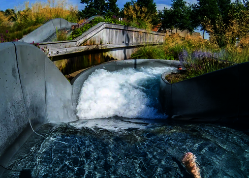 Ein kräftiger Wasserschwall fließt durch eine enge Kurve des Wildwasserflusses mit natürlicher Bepflanzung.