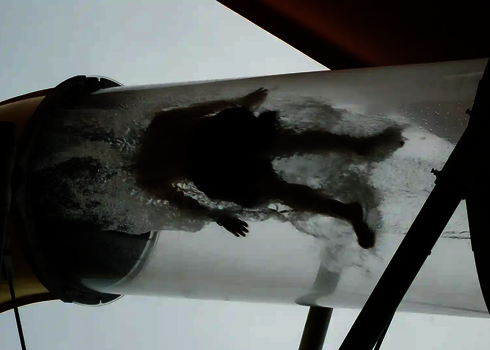 Rutschende Person in durchsichtiger Acrylröhre mit Wasserstrom von unten fotografiert.